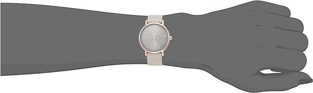 Skagen SKW3060 Women's Watch, Grey [Parallel Import]
