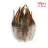 10-15Cm Pheasant Feathers Natural Tail Ringneck For Crafts Long Bulk 50Pcs Plumas Pictures Salon Easter Decoration Goose Trim
