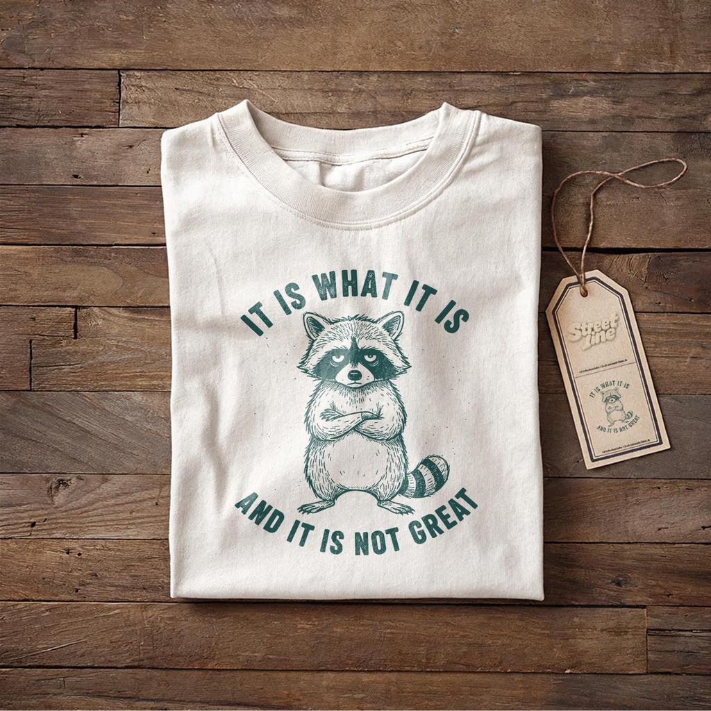 It Is What It Is And It Is Not Great Shirt, Mental Health Shirt, Funny Shirt Women, Meme Shirt, Raccoon Shirt, Gag Tee, Unisex