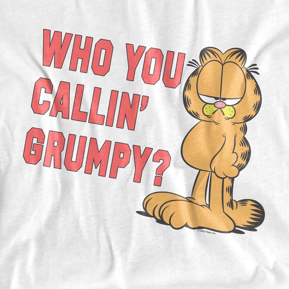 Garfield Unisex Adult Who You Callin Grumpy T-Shirt