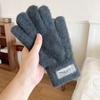 Cold Proof Warm Gloves Casual Mittens New Plush Gloves  Winter