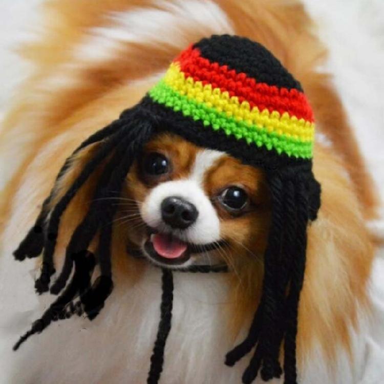 Novelty Dreadlocks Pet Hat Fun Woolen Costume for Dog Cats Great for Daily Wear Halloween Birthdays and Event Dressingup