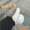 Student Gloves Men's and Women's Winter Mink Velvet Cute Men's Finger Bag Finger Thickened Velvet Warm Couple Adult