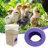 Porta Mangiatoia per Polli Filettata Porta Mangiatoia per Quaglie Porta Risparmio Mangime Senza Sprechi per Contenitore Fai da Te Secchio Secchiello Bidone