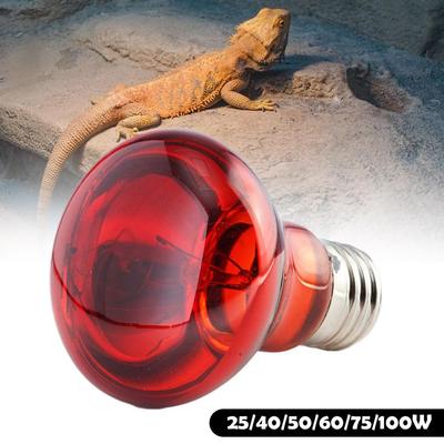 E27 Amfibie Slang Reptiel Lamp Gloeilamp Warmte Nachtlampje Voor Amfibie Slang Lamp Warmte Gloeilamp UV Licht 100W 75W 60W 50W 40W 25W
