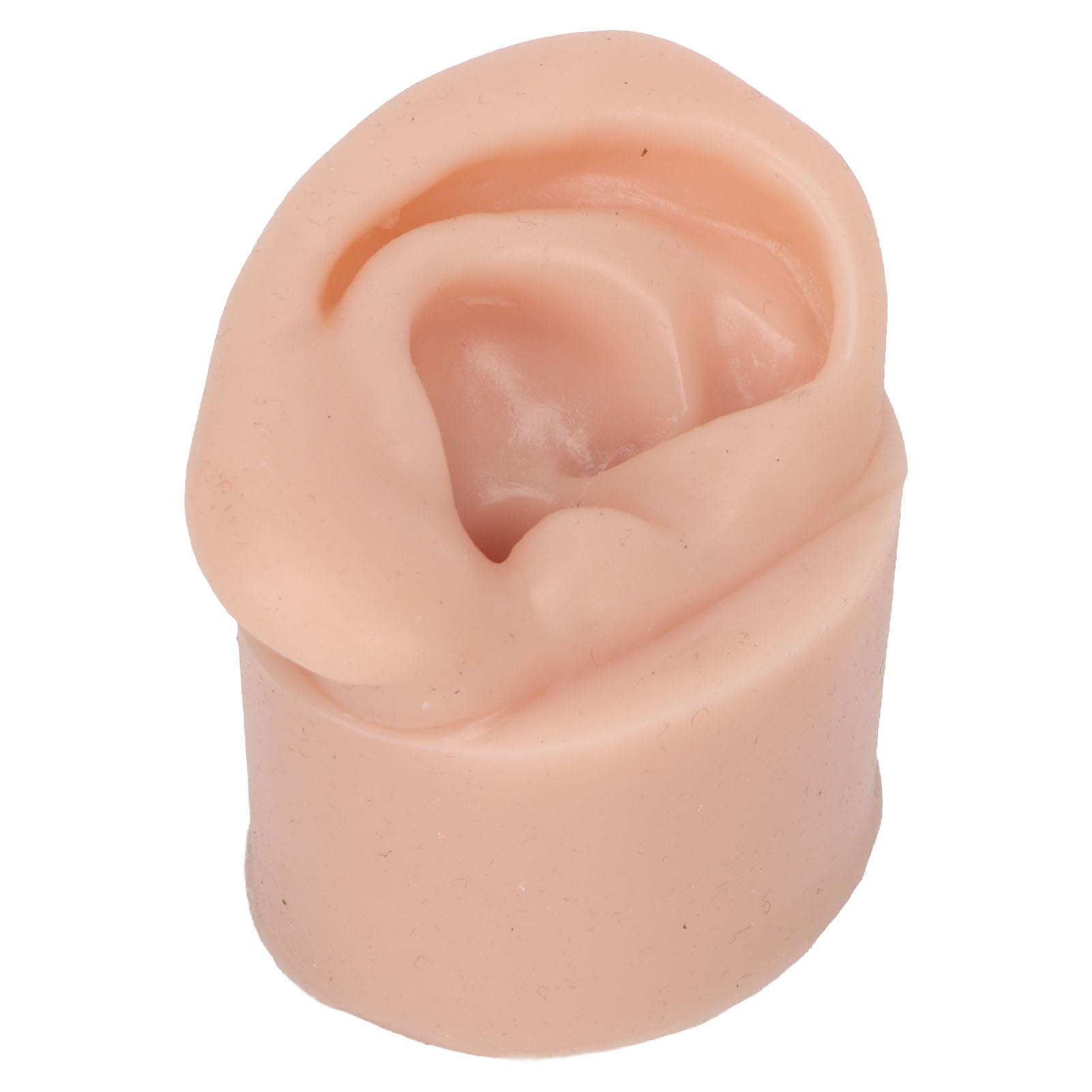 

Силиконовая модель уха среднего цвета кожи Модель уха для практики пирсинга для демонстрации серег обучения