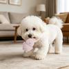 Köpek – Köpek oyuncakları