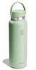 Wide Mouth 40oz 1.1L Aloe Insulated Stainless Steel Water Bottle (Official Japanese Product)