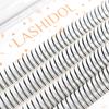 LASHIDOL Partial False Eyelash Easy To A False Eyelash Eyelashes, Extensions, Self-Application, Natural, Popular, DIY, Apply, 9-12mm (Orchid) (Type