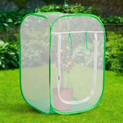 Durable Mesh Plant Tent Providing Effective Insect Barrier for Garden and Balcony Plant Featuring Ventilation Design