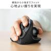 Sanwa Direct Trackball Ergonomic Mouse, Quiet Wireless Bluetooth 2.4GHz [With BackForward Buttons], Rechargeable, 400-MAWBTTB190BK