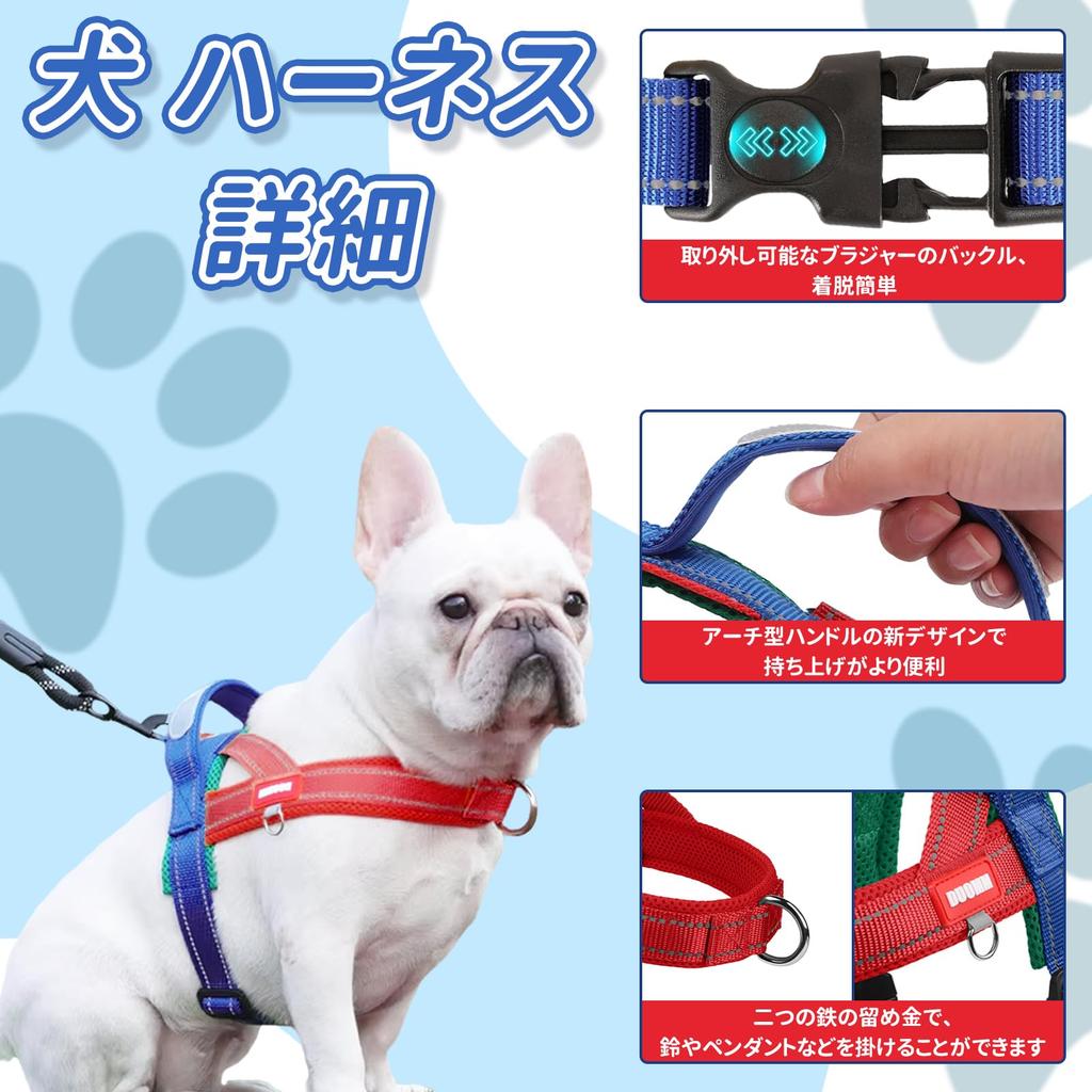 Charming Club Dog and Collar for Extra Small Dogs Walking Gentle on the Size S Suitable for Small and Cats with Reflective Strips Harness, Leash, -