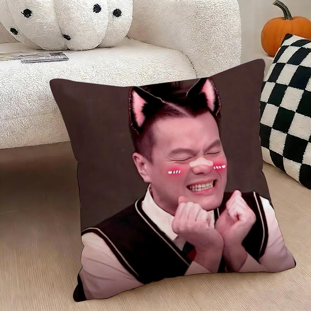 JJYP Meme Cushion Cover Natural Linen Double Sided Print Throw Pillow Case for Sofa Couch Home Decor