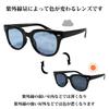 Wellington Sunglasses for Comes with Brown F (EIGHT) Men, Photochromic, Polarized, Case, Black/Light