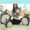 Můj soused Totoro Plyšák z krátkého plyše Na darování