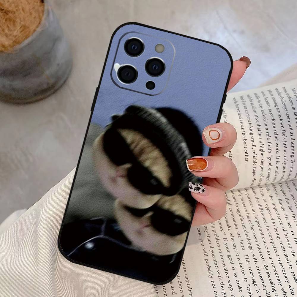 Funny Cute Cat Phone Case For iPhone 17, 16,15,14,13,12,11 Plus,Pro Max, Others Soft Black Cover