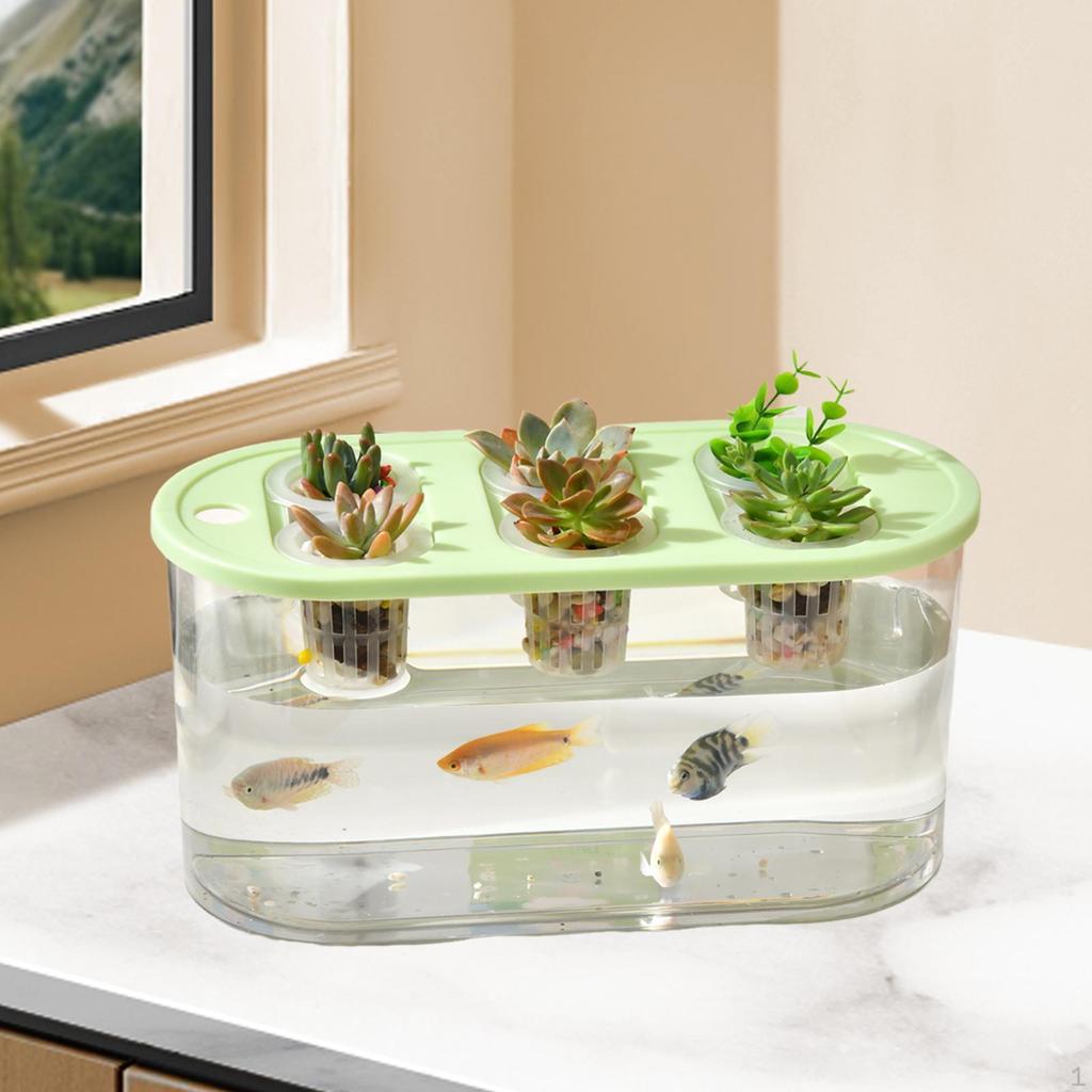 Grower Box Transparent Planting 6 Holes Practical Rectangular Container for Home