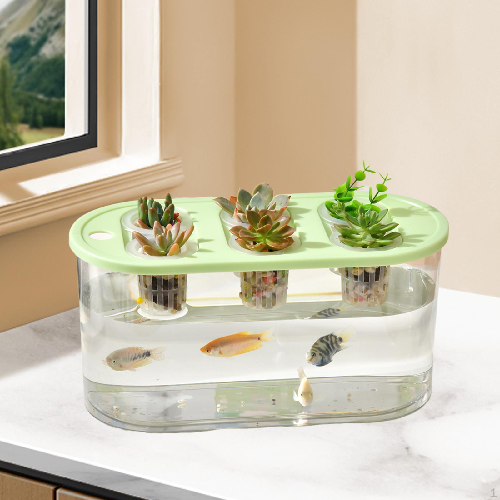 

Ящик для рассады, прозрачный, 6 отверстий, практичный, прямоугольный контейнер для дома зелёный