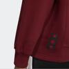 Adidas Originals Cny Tiger Year Limited Edition Sports Hoodie Women Hoodies Brown Red HD0339