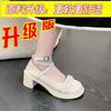 Fairy style Mary Jane shoes girl 2025 new thick heel rhinestone Korean version small leather shoes French strap high heels