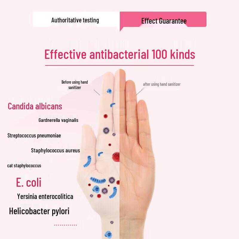 Dettol Moisturizing Anti-Bacterial Hand Wash