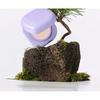 MISSHA Layering Fit Pine Phyto Mucin Serum Cushion - 2 Colors