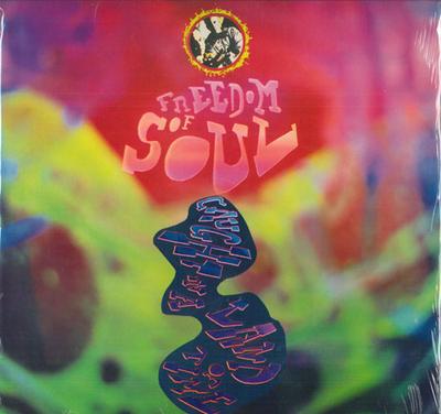 LP Record FREEDOM OF SOUL - Caught In A Land Of Time E47801 Epic, Word 1991 US Rap & Hip-Hop/R&B