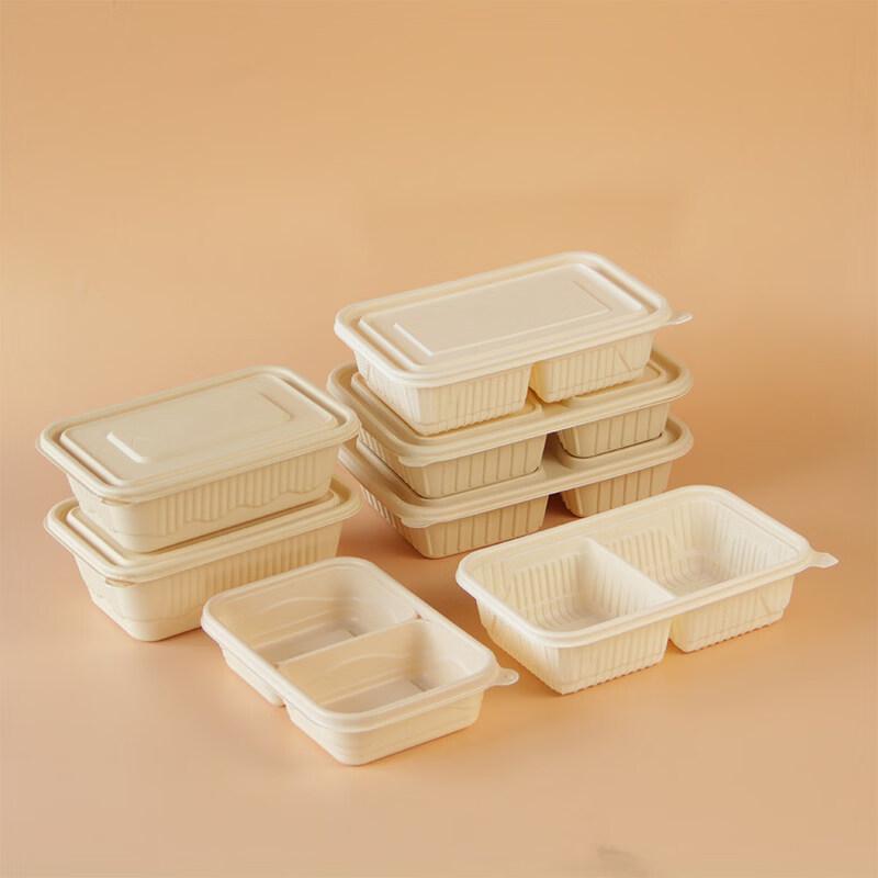 ZISIZ Biodegradable 3-Compartment Disposable Food Container