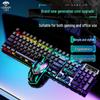 Gaming Backlit Wired Keyboard and Mouse Combo D320