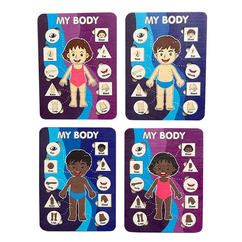 Montessori Human Body Parts Structure Wooden Puzzles Toys Parish Organs Cognitive Open Learning Educational Toys Matching Game