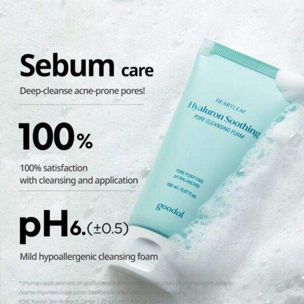 Goodal Heatleaf Hyaluron Soothing Pore Cleansing Foam 150ml
