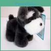Collezione di Peluche per Cani con Pelo Corto Morbido per Sollievo dallo Stress e Regalo per Bambine