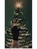 10m Dark Green Tinsel Ribbon & Feather Boa Christmas Tree Ornaments Set