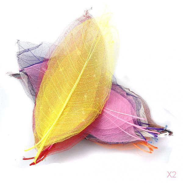 100 Pieces Mixed Magnolia Skeleton Leaves Card Scrapbook
