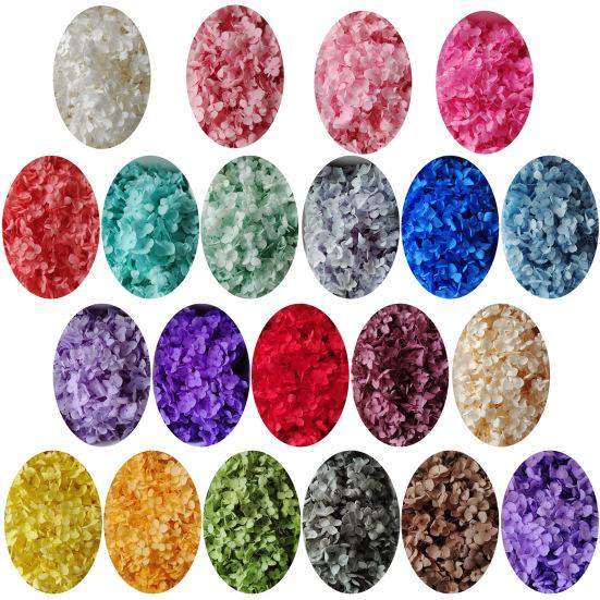 Excellent Dried Flower Heads Eye-catching 21 Styles Decorative