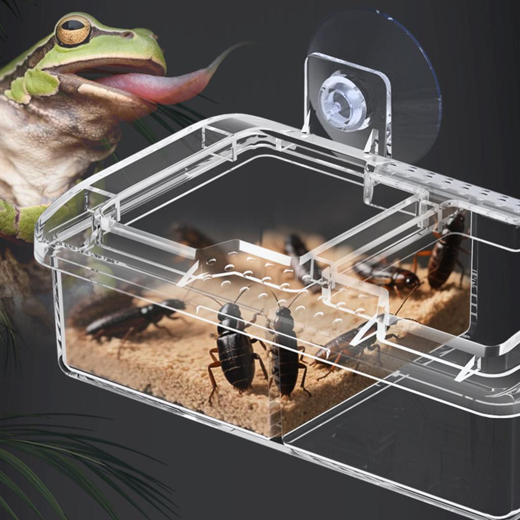 Reptiles Suction Cup Feeders,Coloretto Feeding Food Bowl,Clear Anti Escape Worms Live Fodders Container for Lizards Dagron