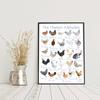 Alphabet-Huhn-Tier-Druck, ABC-Lernbuchstabe, pädagogisches Poster, Kinderzimmer, Wandkunst, Leinwandgemälde, Klassenzimmer, Junge, Schlafzimmer-Dekoration