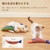 Eitsevn Cat Matatabi Solo Cat Chewing Cat Chew Set of 3 Toy, Fish, Toy, Kigurumi, Play, Toy, Toy,