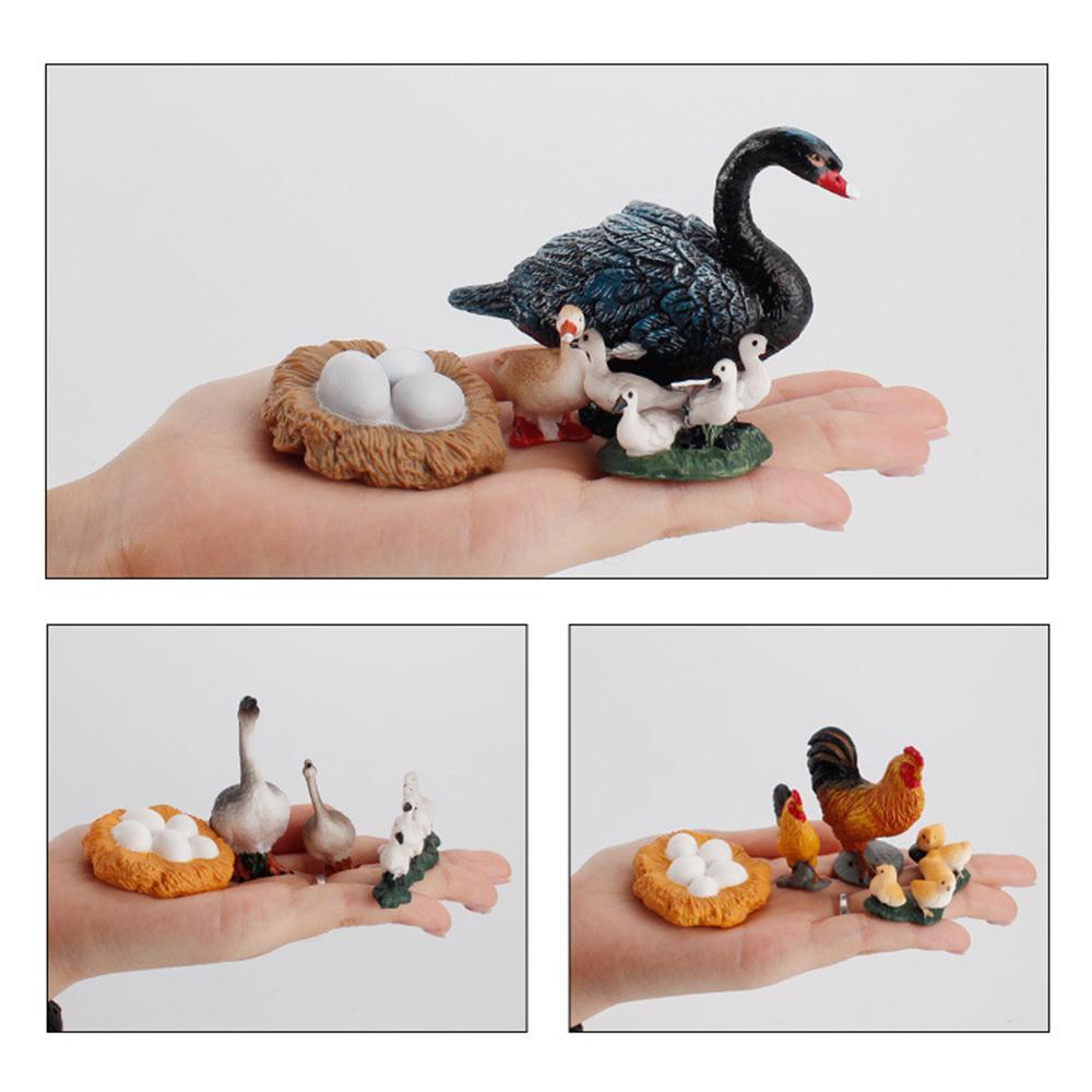 Kids Toy Life Cycle Chicken Dragonfly Simulation Model Figurine Animals Growth Cycle
