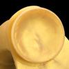 Extra Large Silicone Dildo Butt Plug Masturbator Fisting Sex Toy Realistic Penis Strap On Cock Gay BDSM