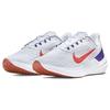 Nike Air Zoom Winflo 9 'Grey Concord' Sneakers DD6203-006