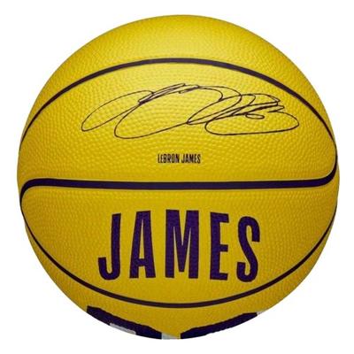 Wilson LeBron James NBA Basketball