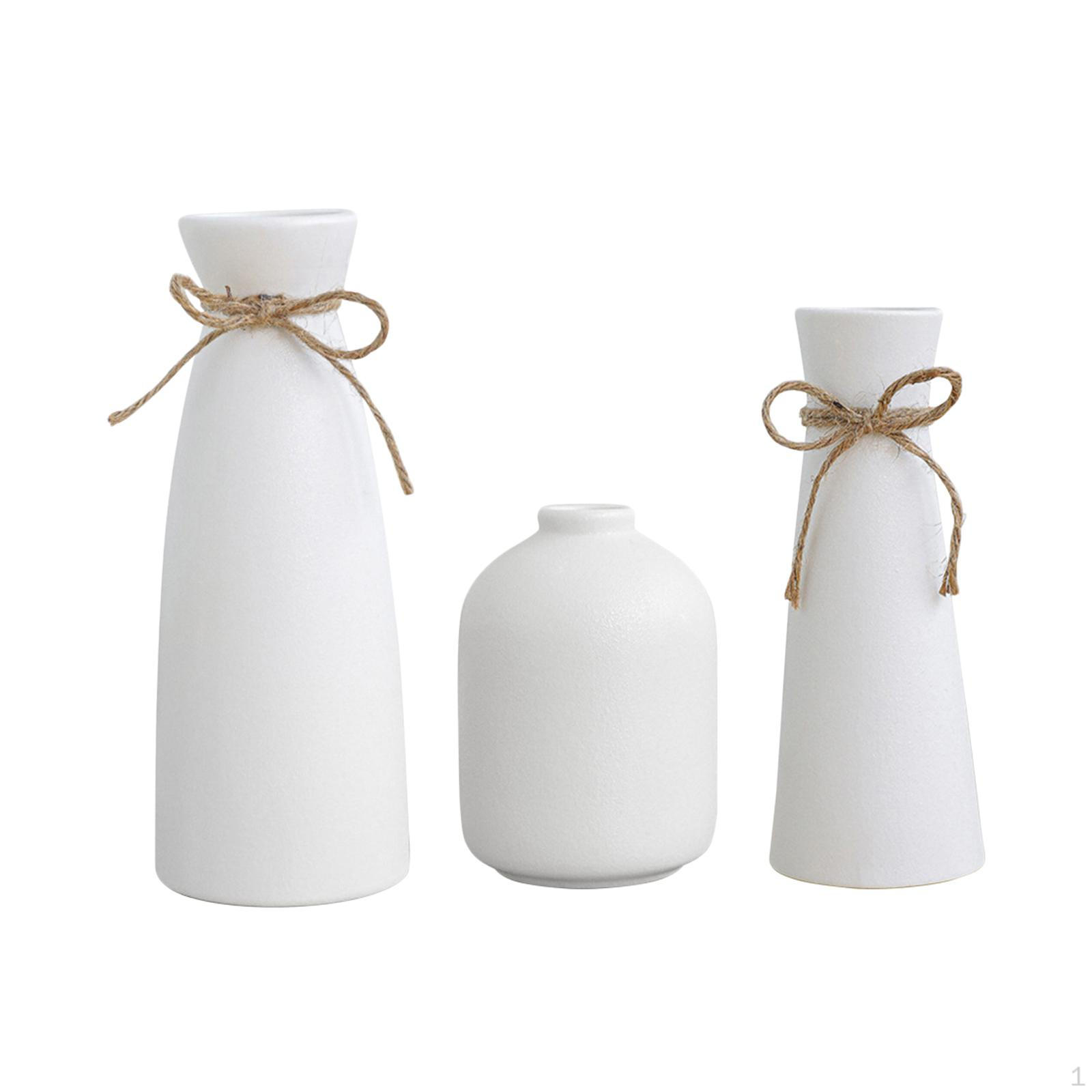 Набор из 3 керамических ваз для цветов Настольное декоративное искусство Вазы для спальни