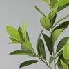 Large Artificial Fagraea Branches Real Touch Handmade Artificial Ilex Chinensis Elegant Realistic Pachira Branches Wedding Decor