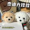 Teddy Dog Bear Squishy Toy Kid Soft Three-dimensional Pinch Big Dog Super Cute Stress Relieving Toy Relaxing Sensory Fidget Doll