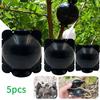 5Pcs Plant Rooting Ball Breeding Plant Root Pot Garden Cutting Grafting Rooting Box Breeding Seedling Balls Gardening Supplies