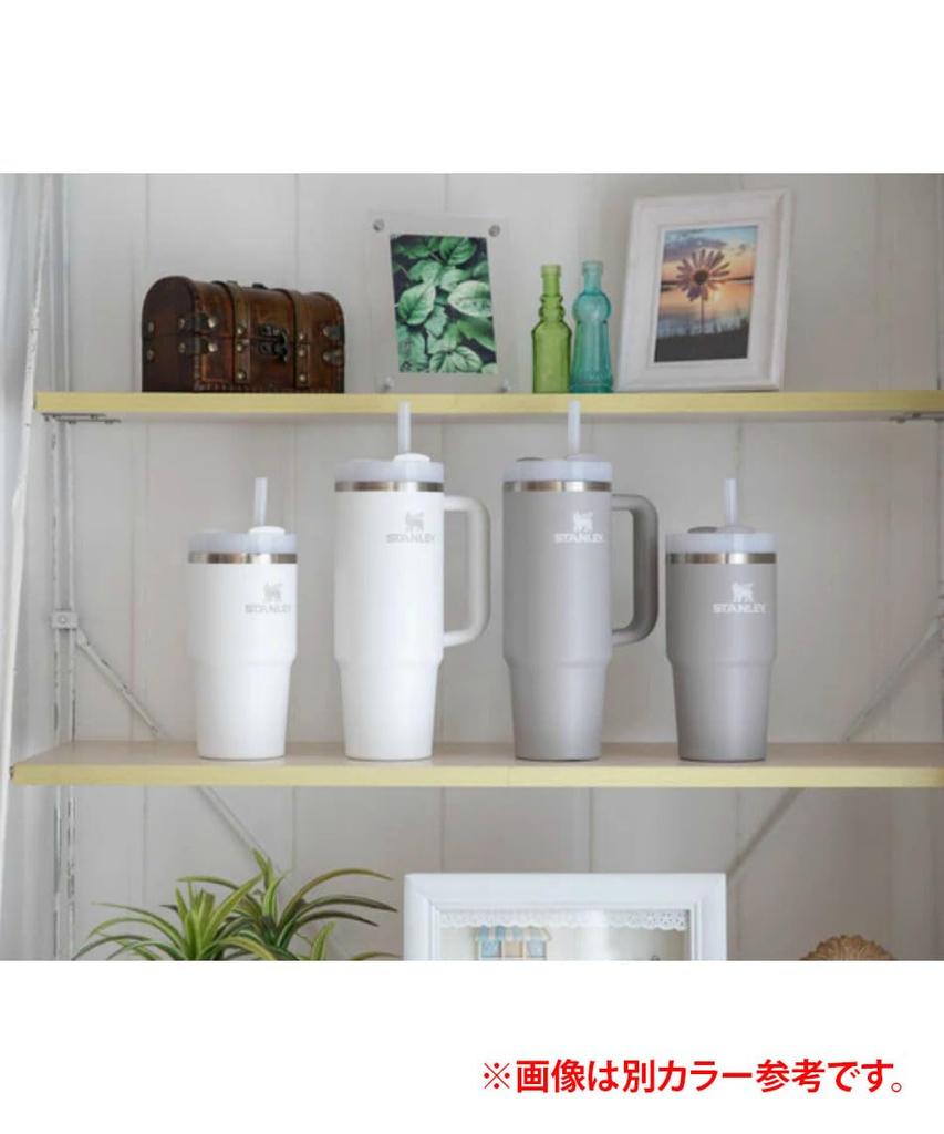 STANLEY Wasserflasche Becher Vakuum Slim Quencher H2.0 0,88L 10-10827-525 (Lavendel/FF)