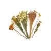 Natural Dried Flower Bedding for Hamster Cages Safe Decorative Floral Habitat Decors