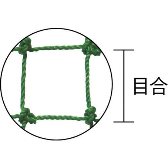 Daio Ball 25mm Green Net, Approx. Mesh, 2mx30m,