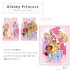 Un Doudou Fluffy Blanket + Sleeper Set, Disney Princess New Meyer, Warm Fluffy Blanket (NZ2001-2201-PR)
